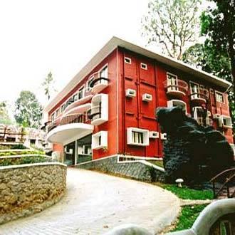 Forest Haven Resort Munnar Buitenkant foto